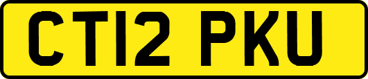 CT12PKU