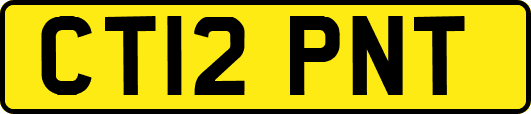 CT12PNT