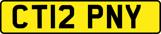 CT12PNY
