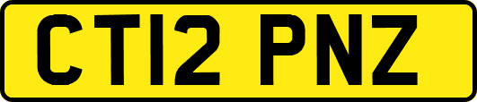 CT12PNZ