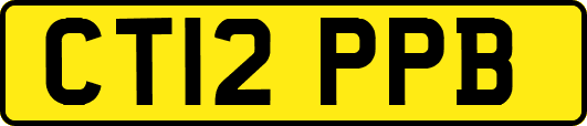 CT12PPB
