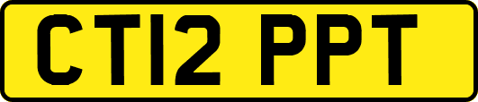 CT12PPT