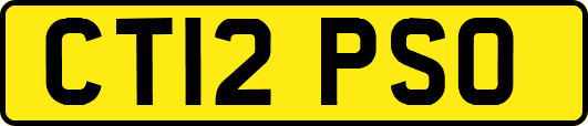 CT12PSO