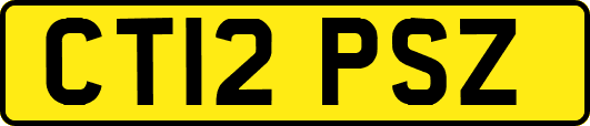 CT12PSZ