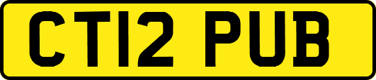 CT12PUB