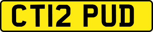 CT12PUD