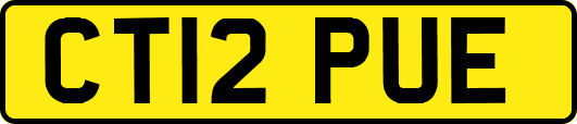 CT12PUE