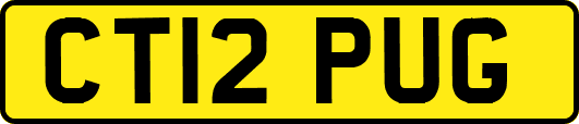 CT12PUG