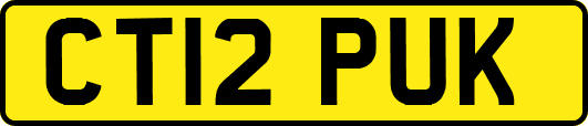CT12PUK