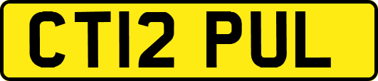 CT12PUL
