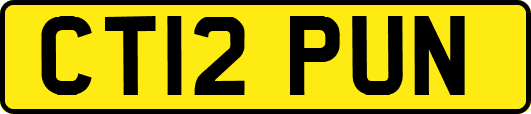 CT12PUN