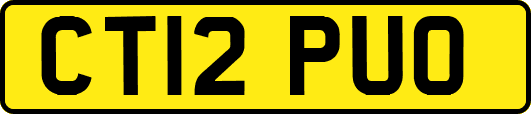 CT12PUO