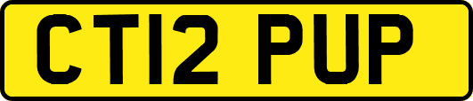 CT12PUP