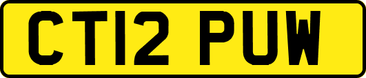 CT12PUW
