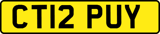 CT12PUY