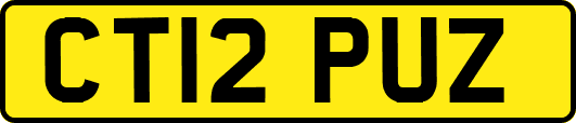 CT12PUZ