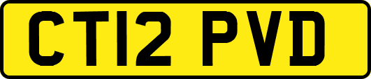 CT12PVD