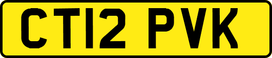 CT12PVK