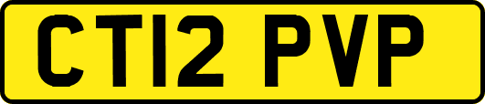 CT12PVP