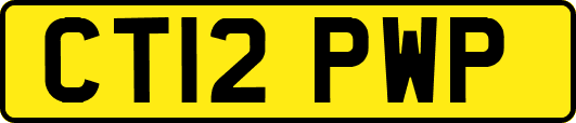CT12PWP