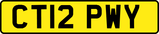 CT12PWY