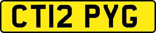 CT12PYG