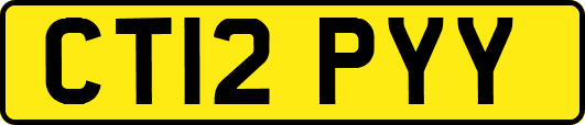 CT12PYY