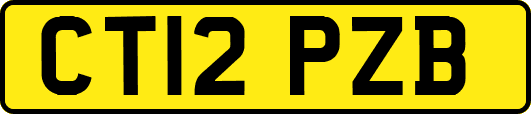CT12PZB
