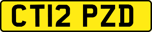 CT12PZD