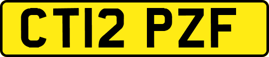 CT12PZF