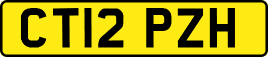 CT12PZH
