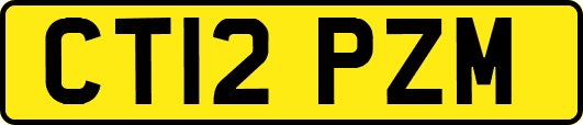 CT12PZM
