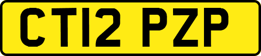CT12PZP