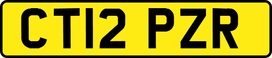 CT12PZR
