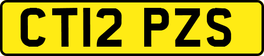 CT12PZS