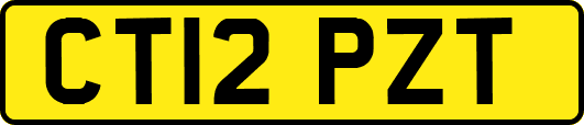 CT12PZT