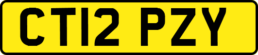 CT12PZY