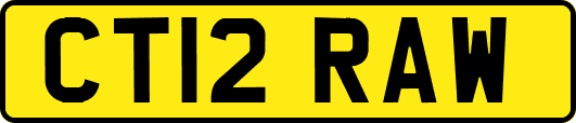 CT12RAW