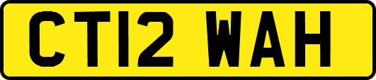 CT12WAH
