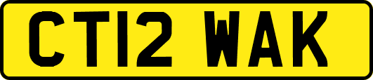 CT12WAK