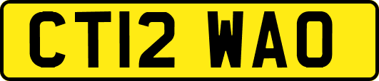 CT12WAO