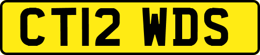 CT12WDS