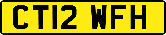 CT12WFH