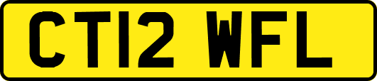 CT12WFL