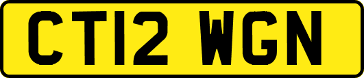 CT12WGN