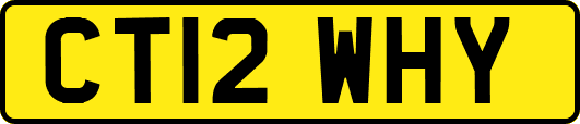 CT12WHY