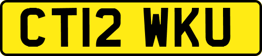 CT12WKU