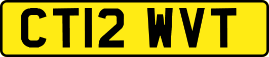 CT12WVT