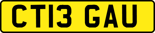 CT13GAU