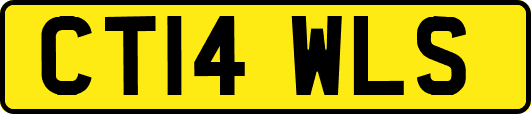 CT14WLS